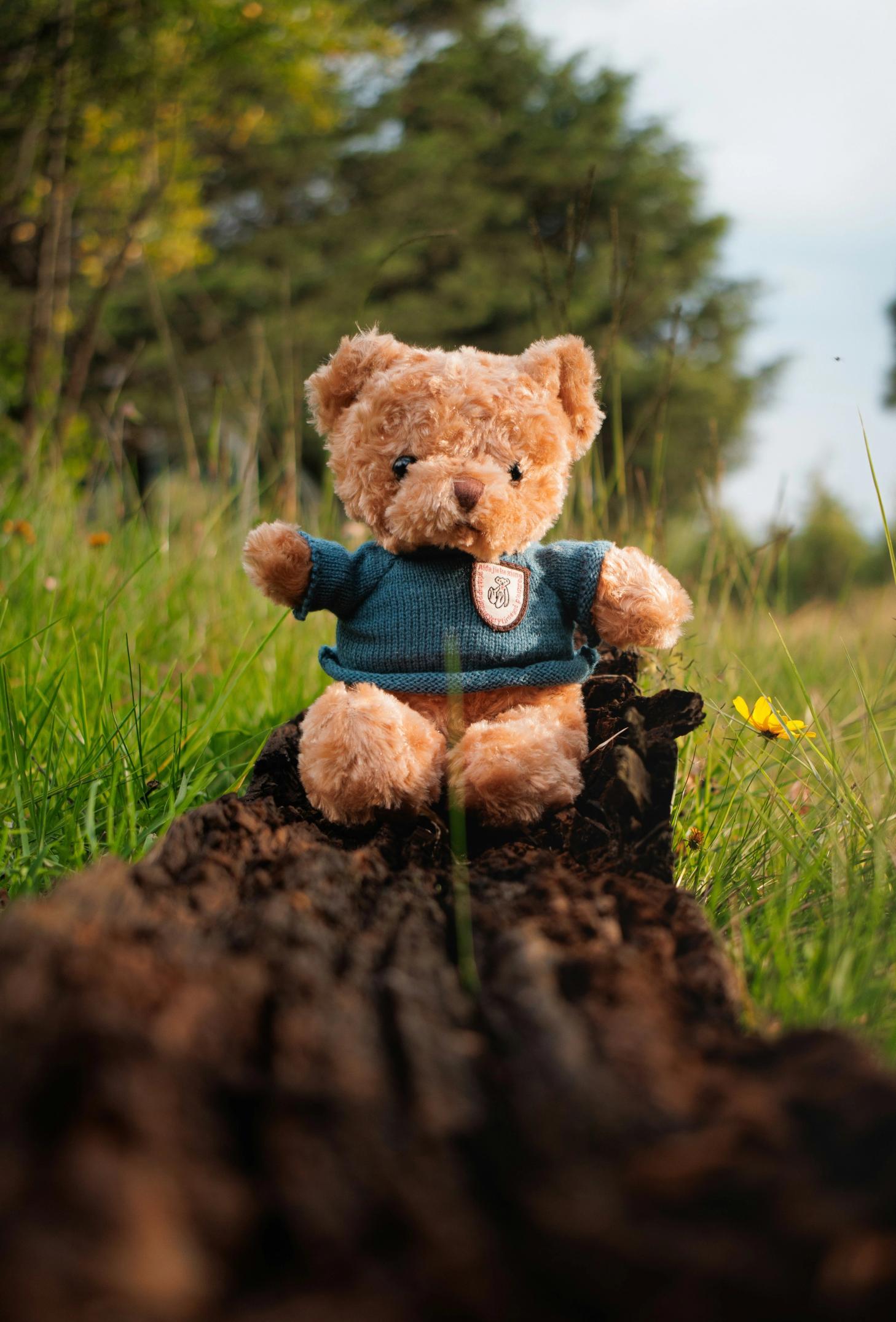 En liten teddybjørn med grønn genser sitter på en trestokk i gresset ute i naturen.