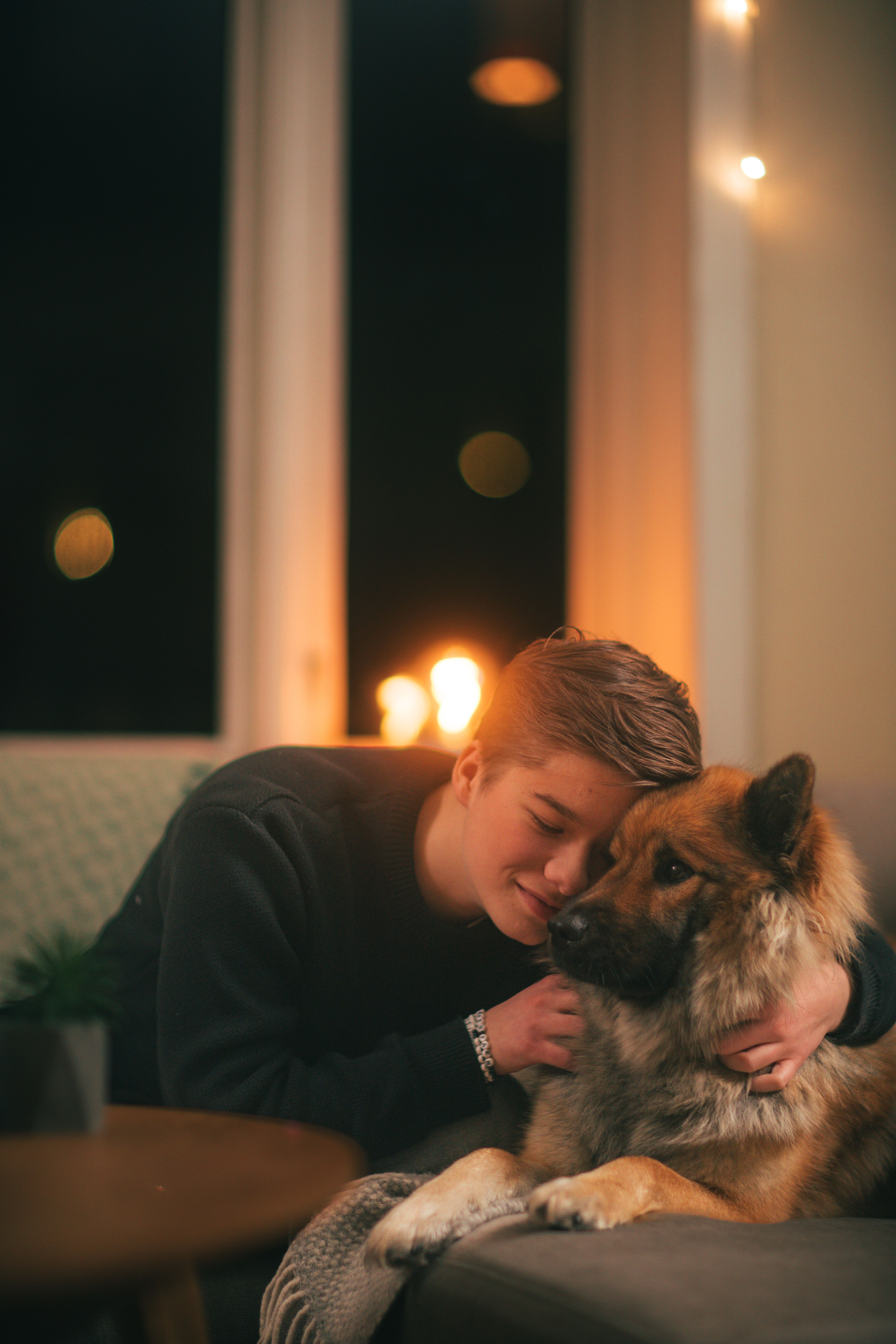 Gutt klemmer en hund 