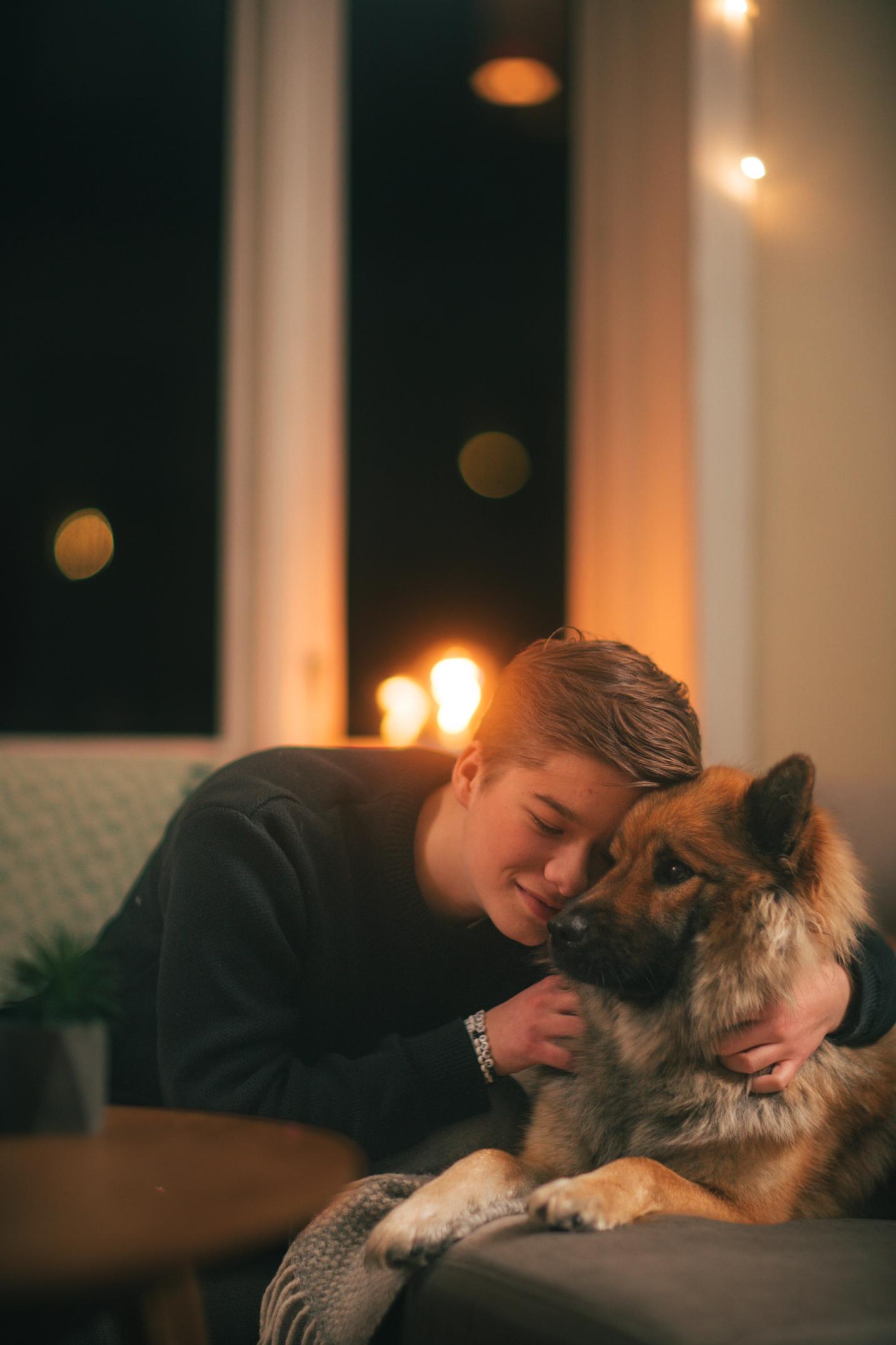 Gutt klemmer en hund