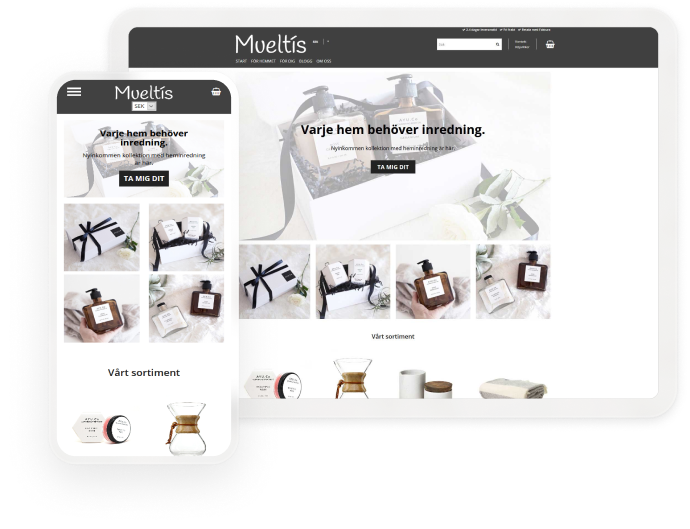 Mueltis theme mockup