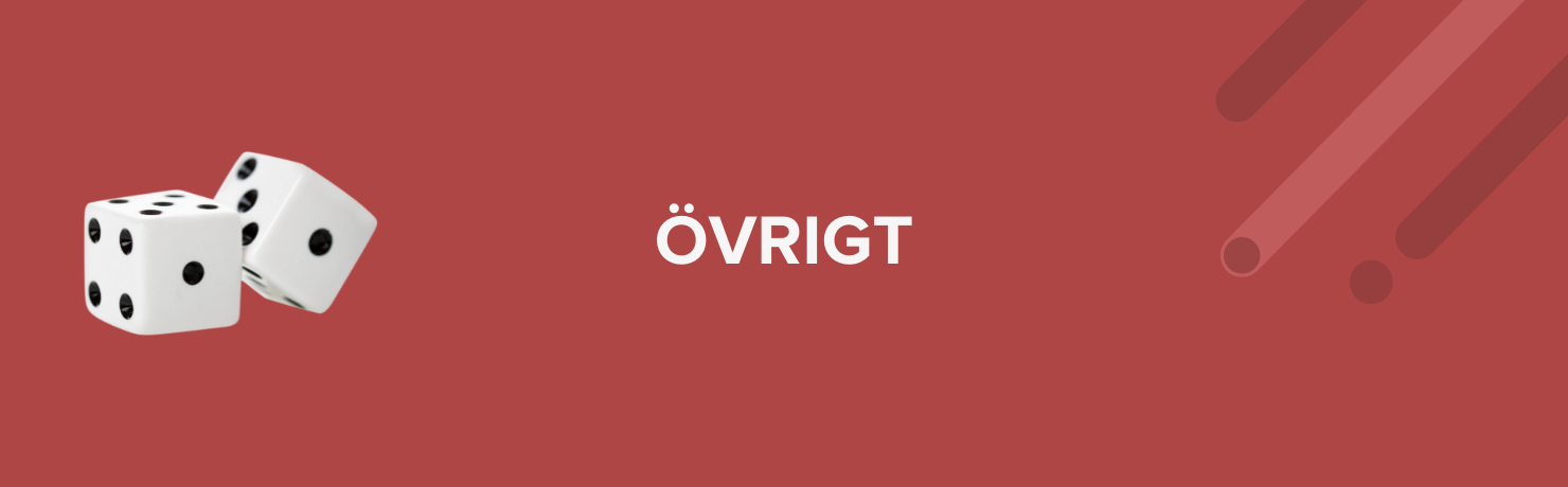 övrigt