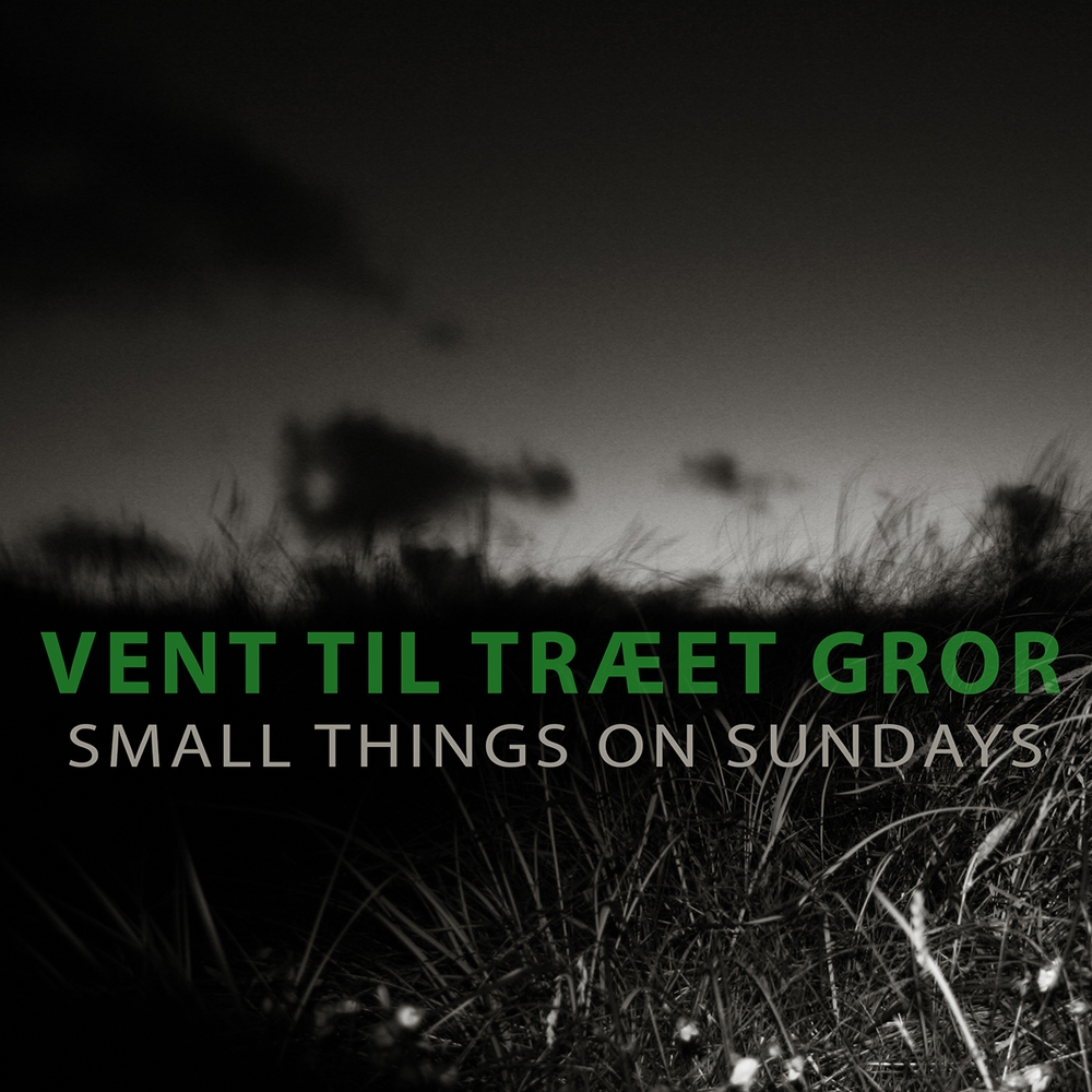 Small Things oin Sundays "Vent til træet gror"