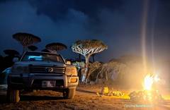 7 Day Private Tour Package - Wild Camping in Socotra