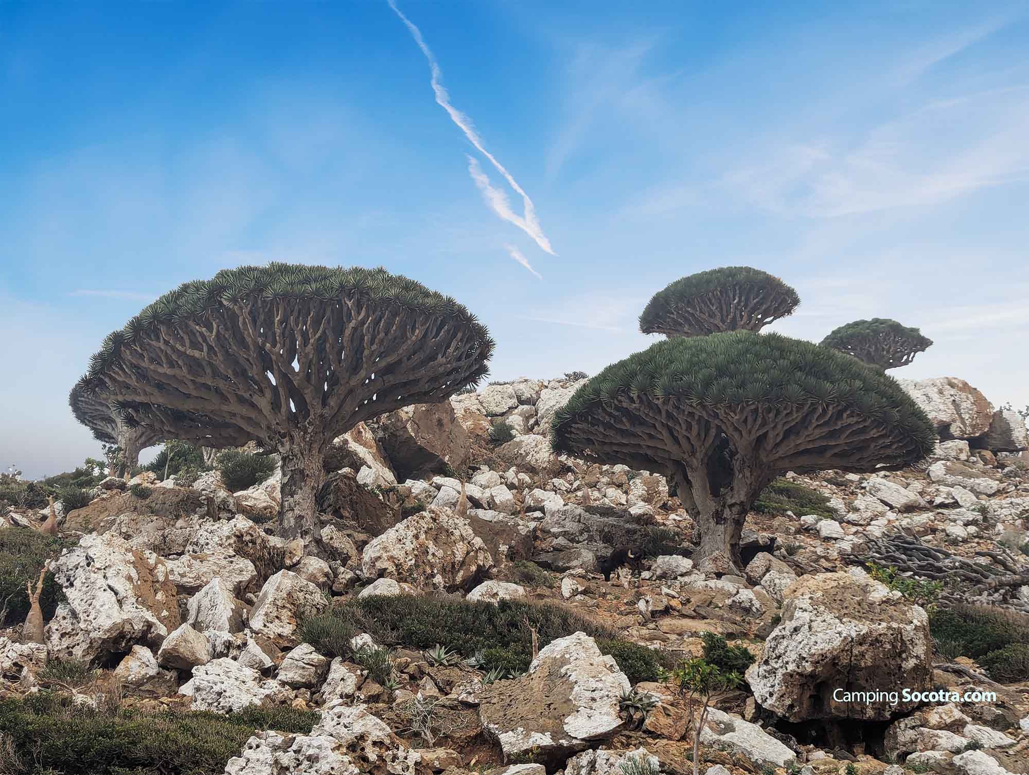 Into the Dragon’s Lair (Dixam Plateau)