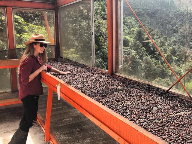 Drying Coffee Cherries on Raised Beds in Colombia