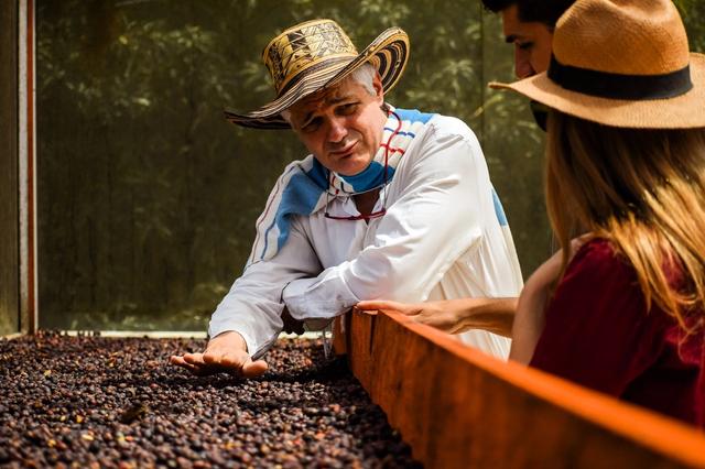 Drying Coffee Cherries on Raised Beds