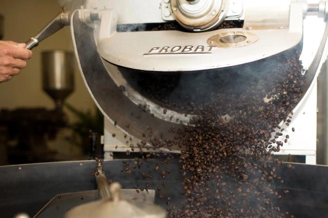 Roasted Coffee Beans Exits a Coffee Roaster