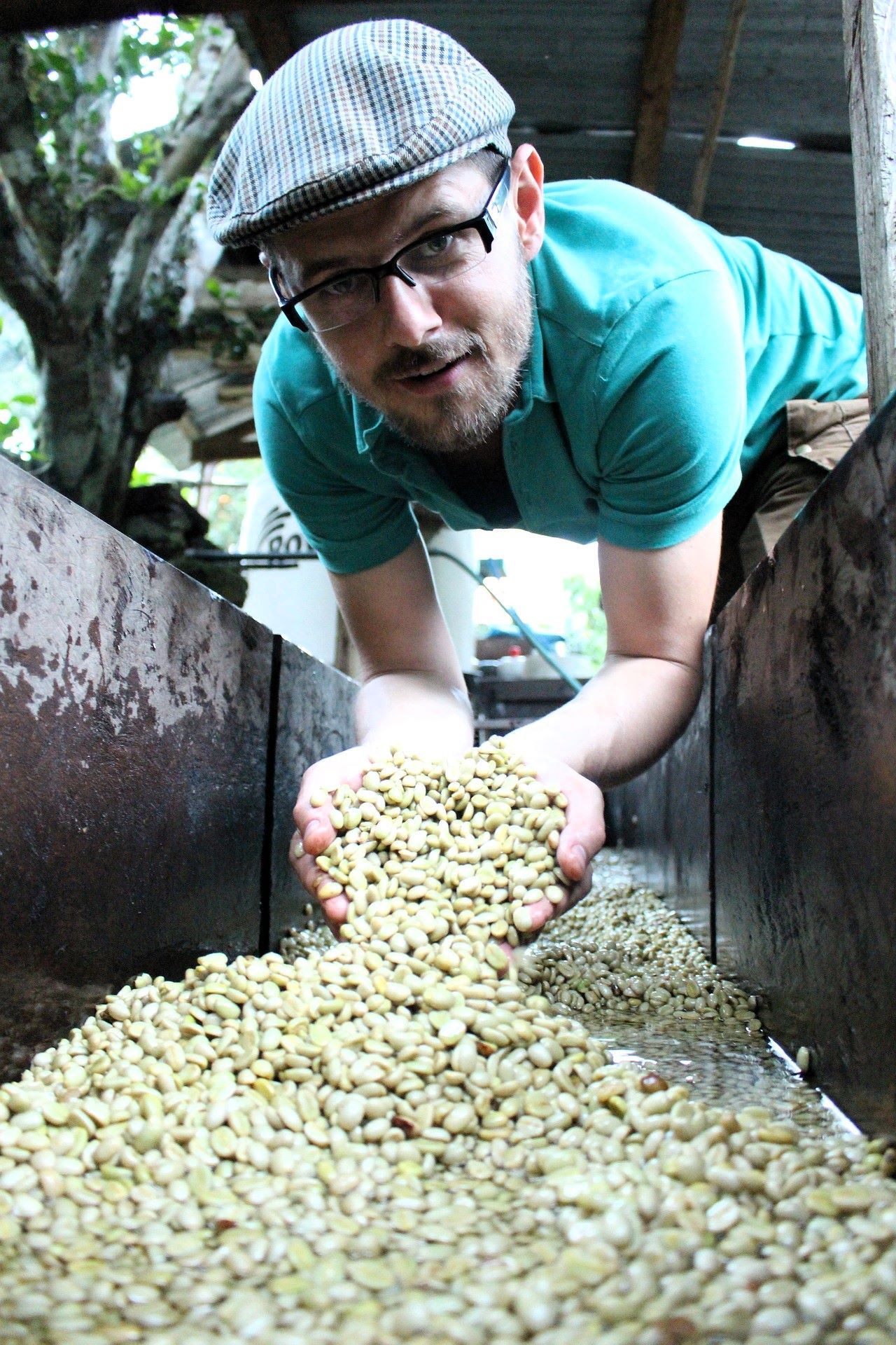 Washed (Wet) Coffee Processing