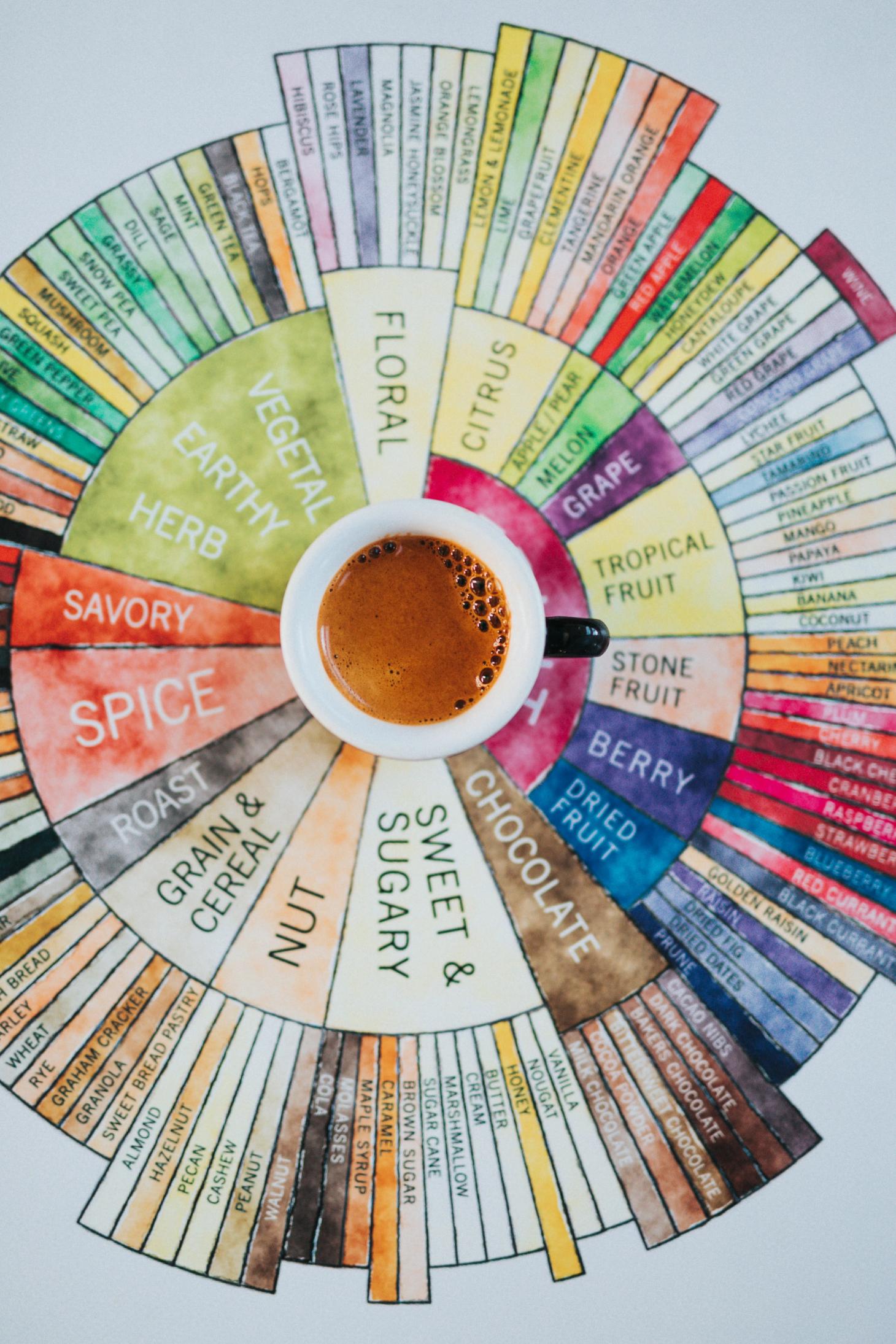 A Palate of Coffee Flavors