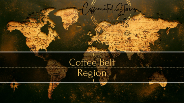 Coffee Belt Region