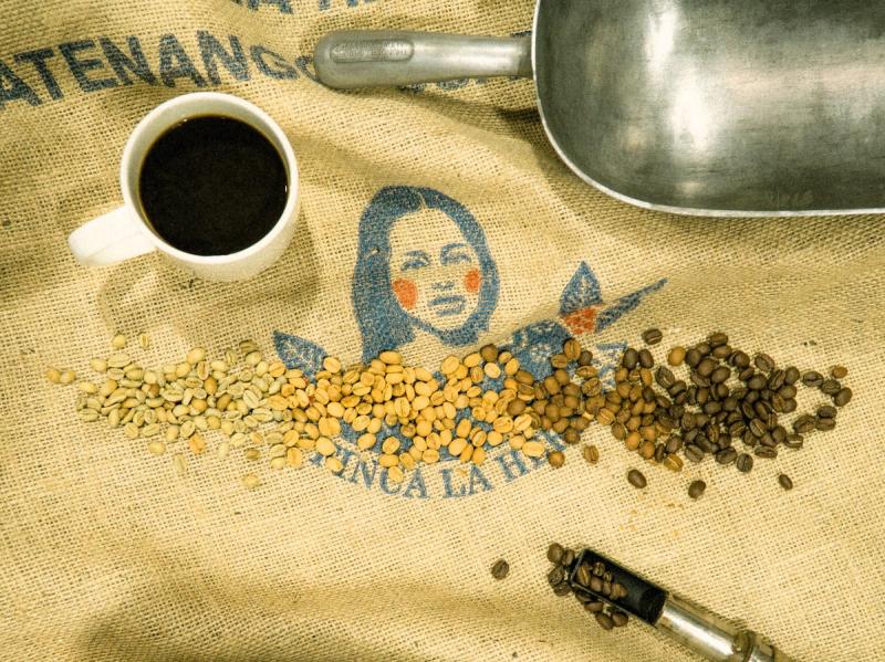 From Green to Roasted Coffee Beans to Brewed Coffee