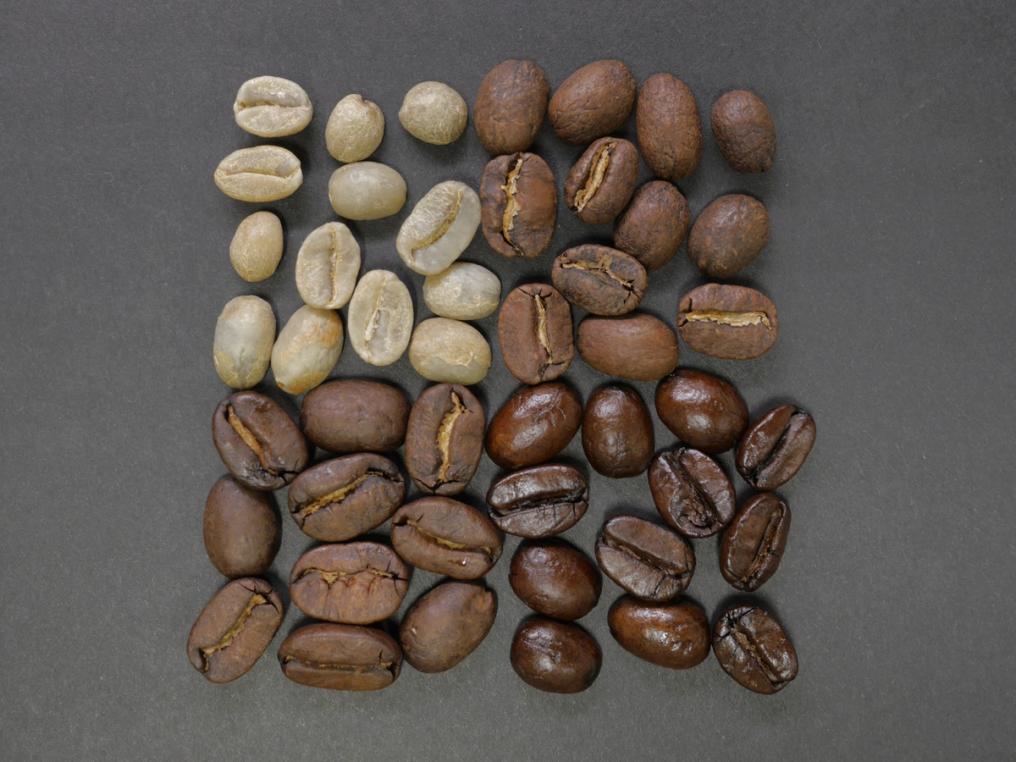 Green, Lightly and Darkly Roasted Coffee Beans 