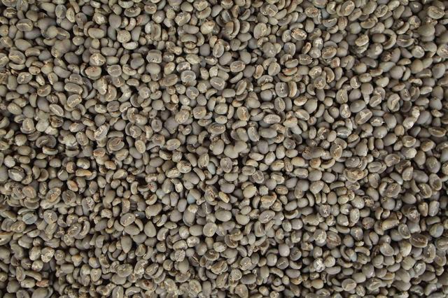 Wet-Hulled Processed Coffee Beans Without Parchment