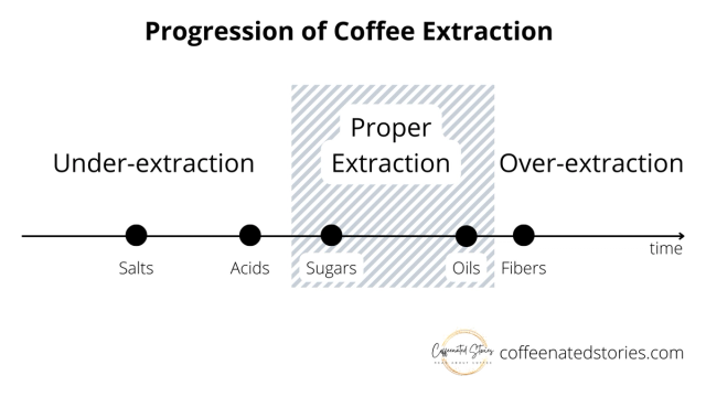 The Linear Progression of Coffee Extraction 