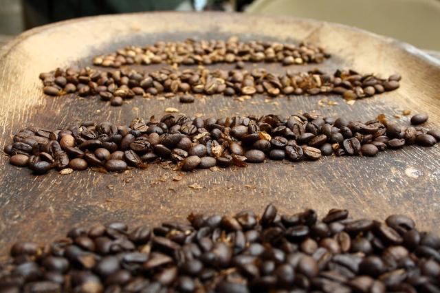 The Transformation of Roasted Coffee Beans (From Light to Dark)