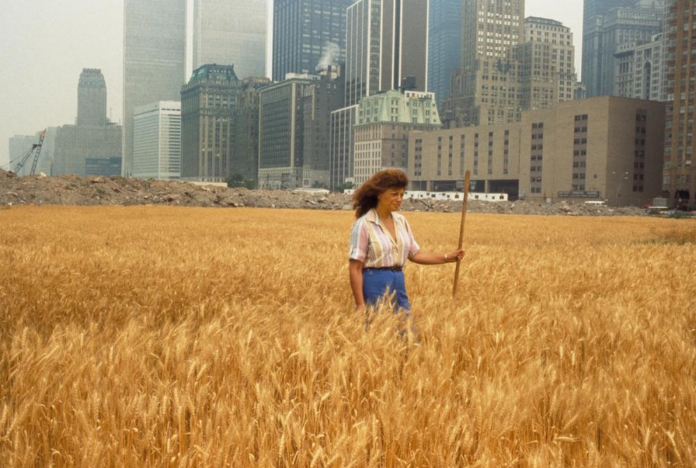 a woman is standing in a field of wheat with a city in the background .