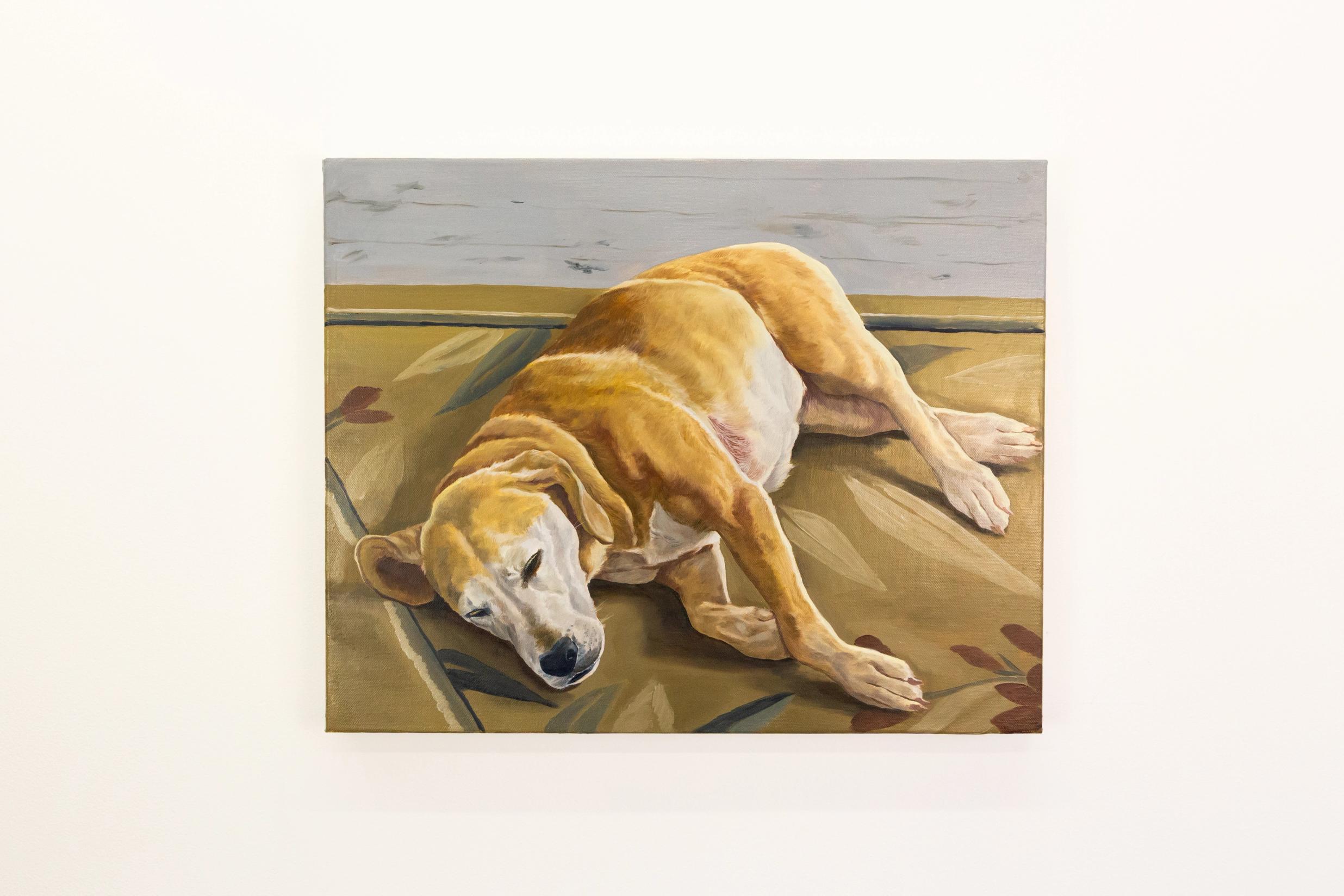 From 'Experiments: Private Paintings', Amanda Ba 2025