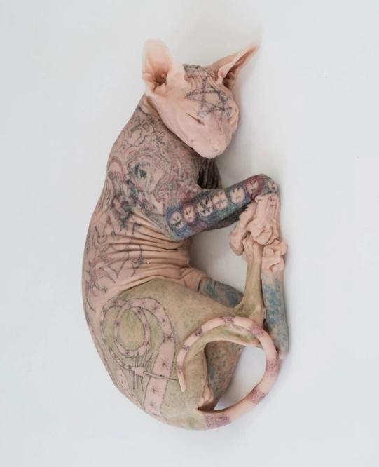 a hairless cat with a lot of tattoos on its body