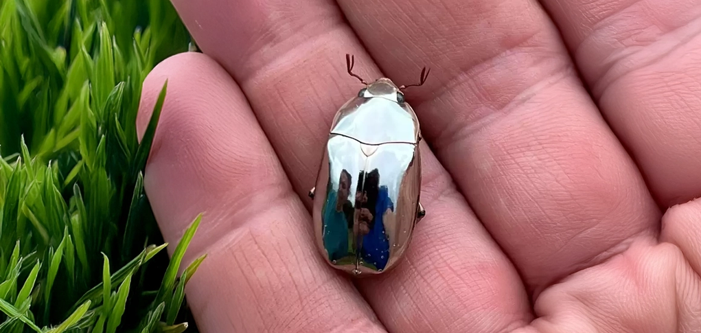 a person is holding a small silver bug in their hand