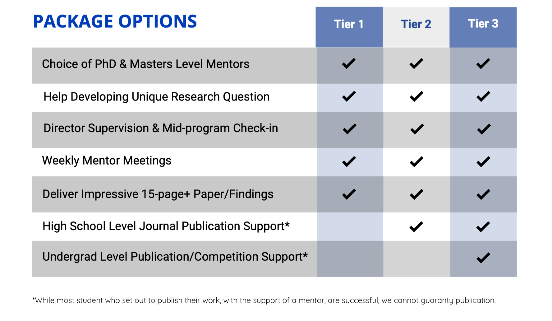 Research mentorship program package options table. 