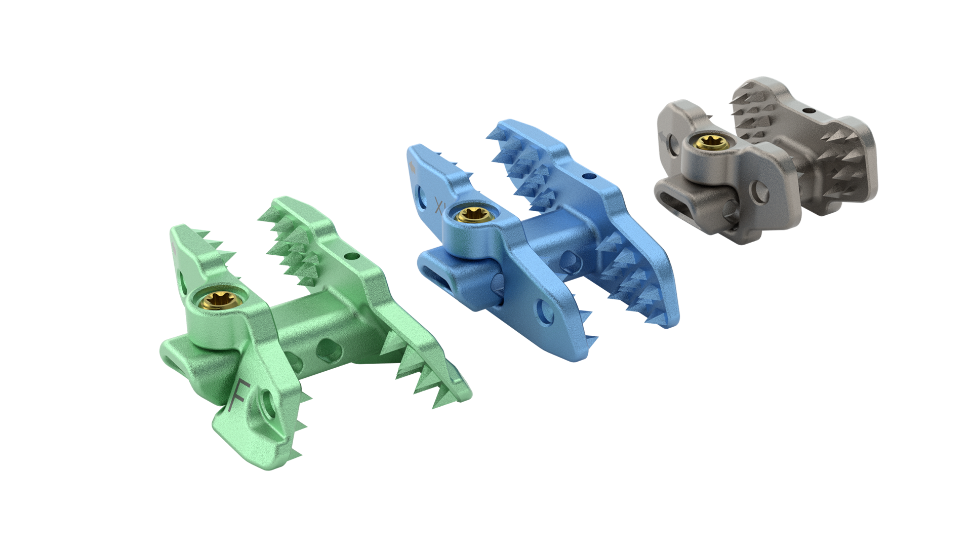 Spinous Process | SeaSpine.com