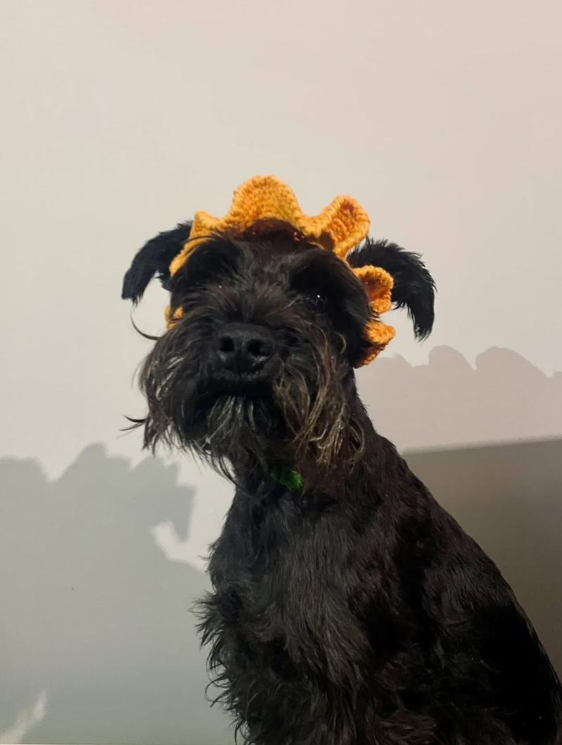 Limón ya está en el spooky mood