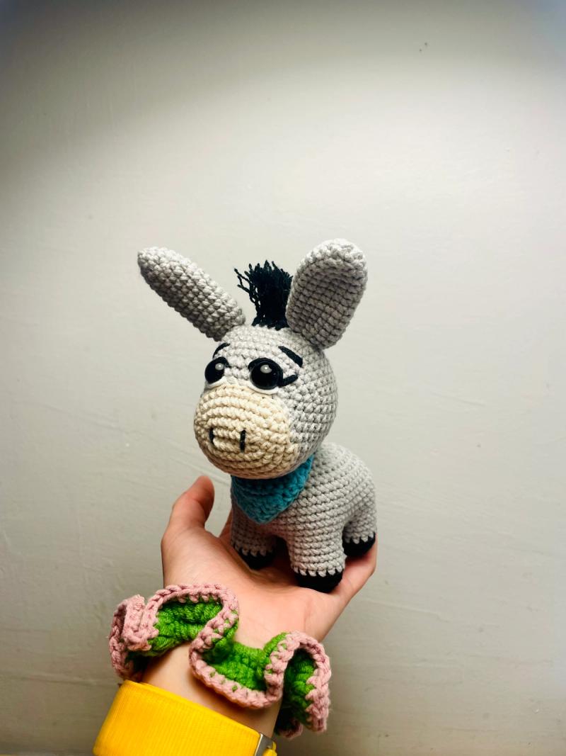 Burro