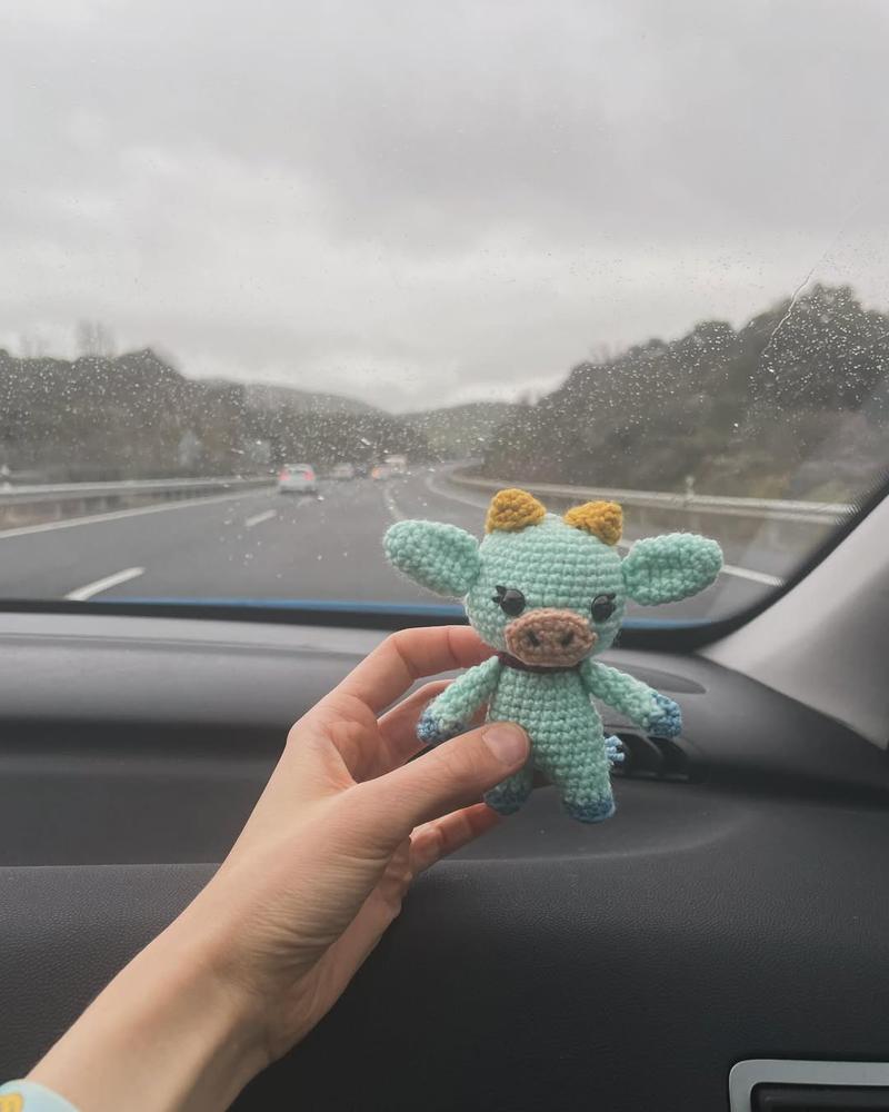 Vaquita viajera