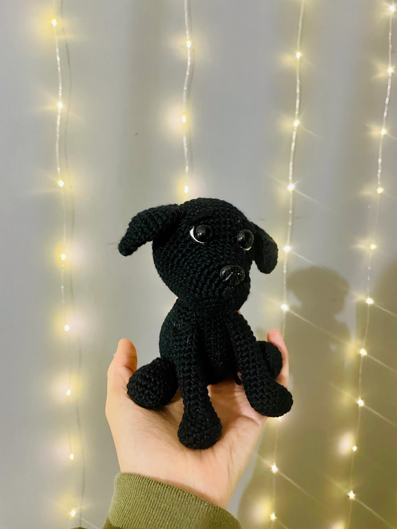 Labrador