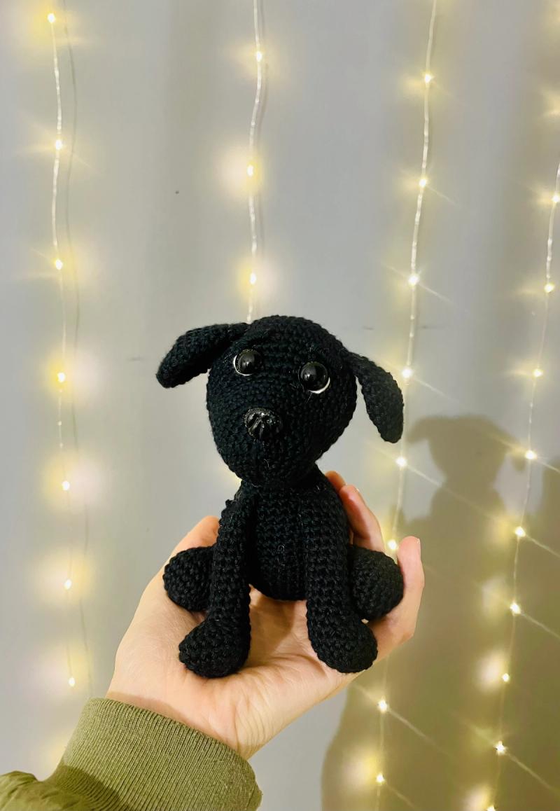 Labrador