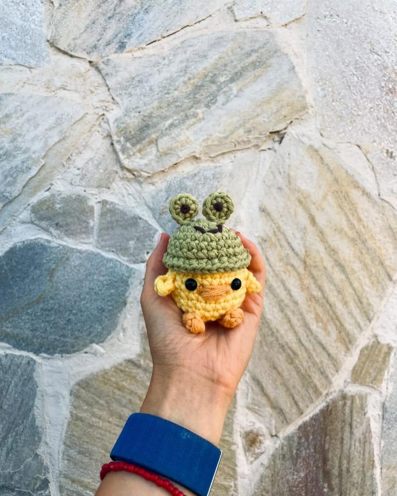 Pollito con gorro de ranita