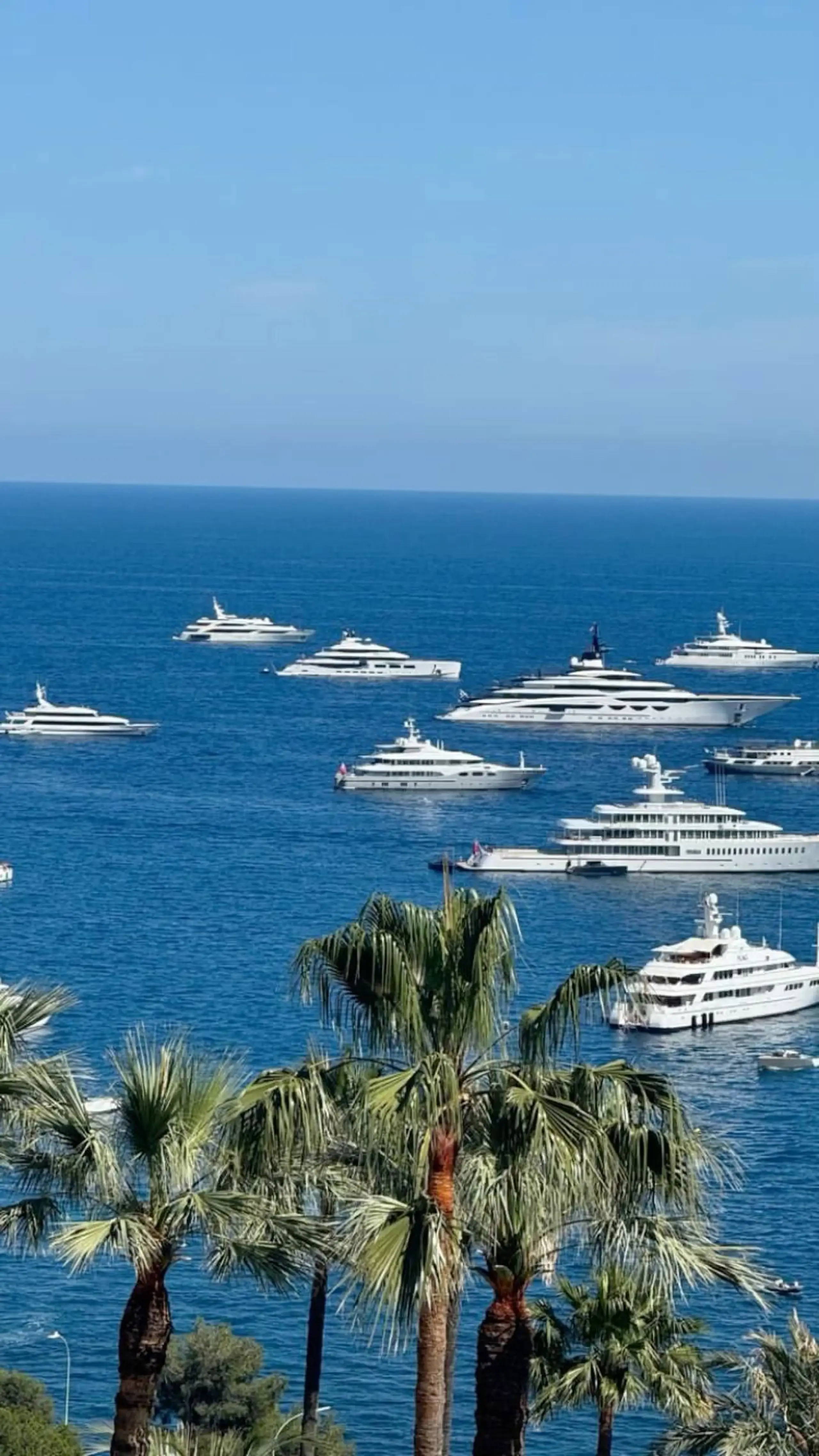 Superyachts anchored off the French Riviera coastline with palm trees in the foreground
