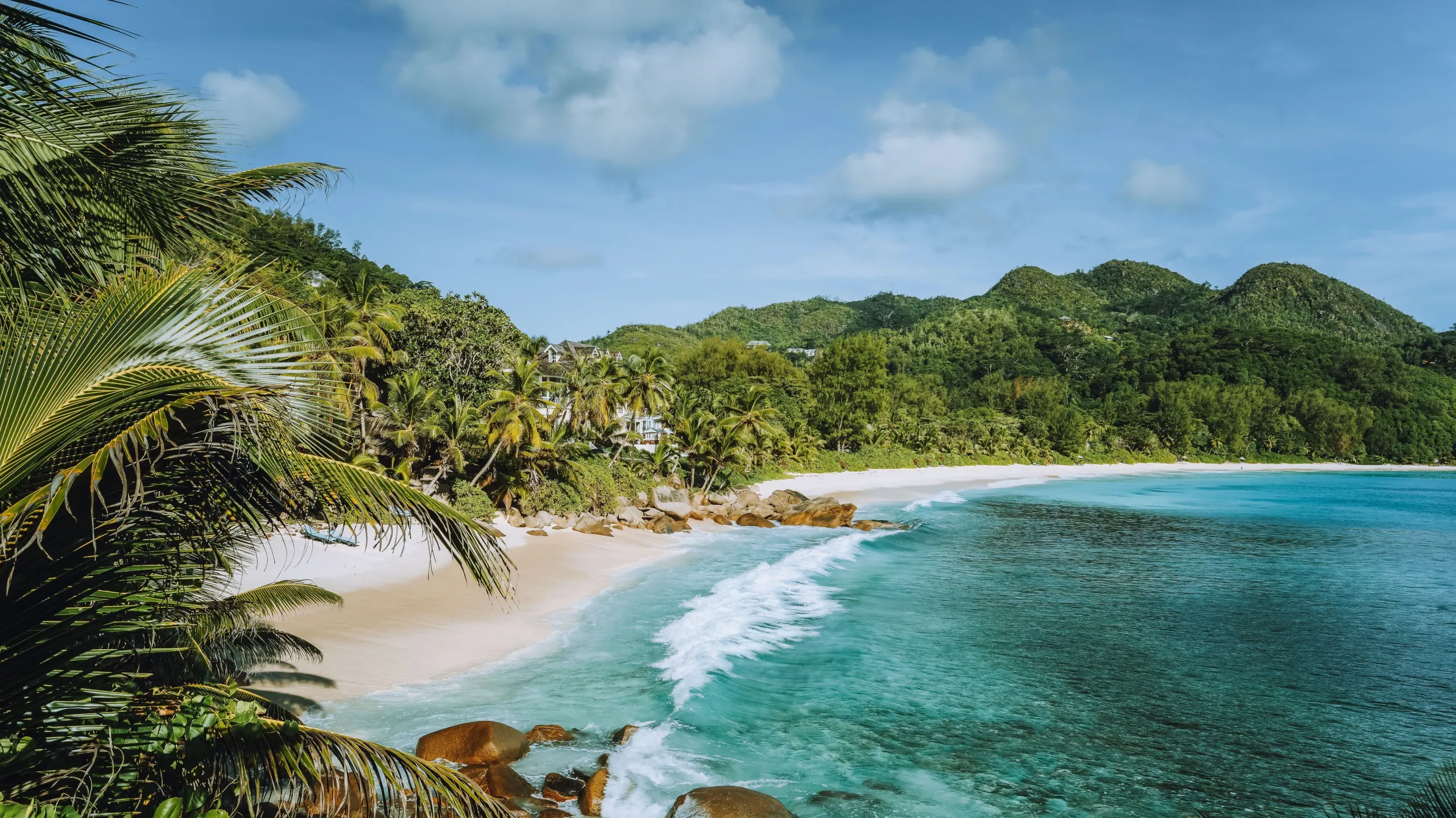 Tropical beach with palm trees, turquoise water and lush green hills in the Seychelles