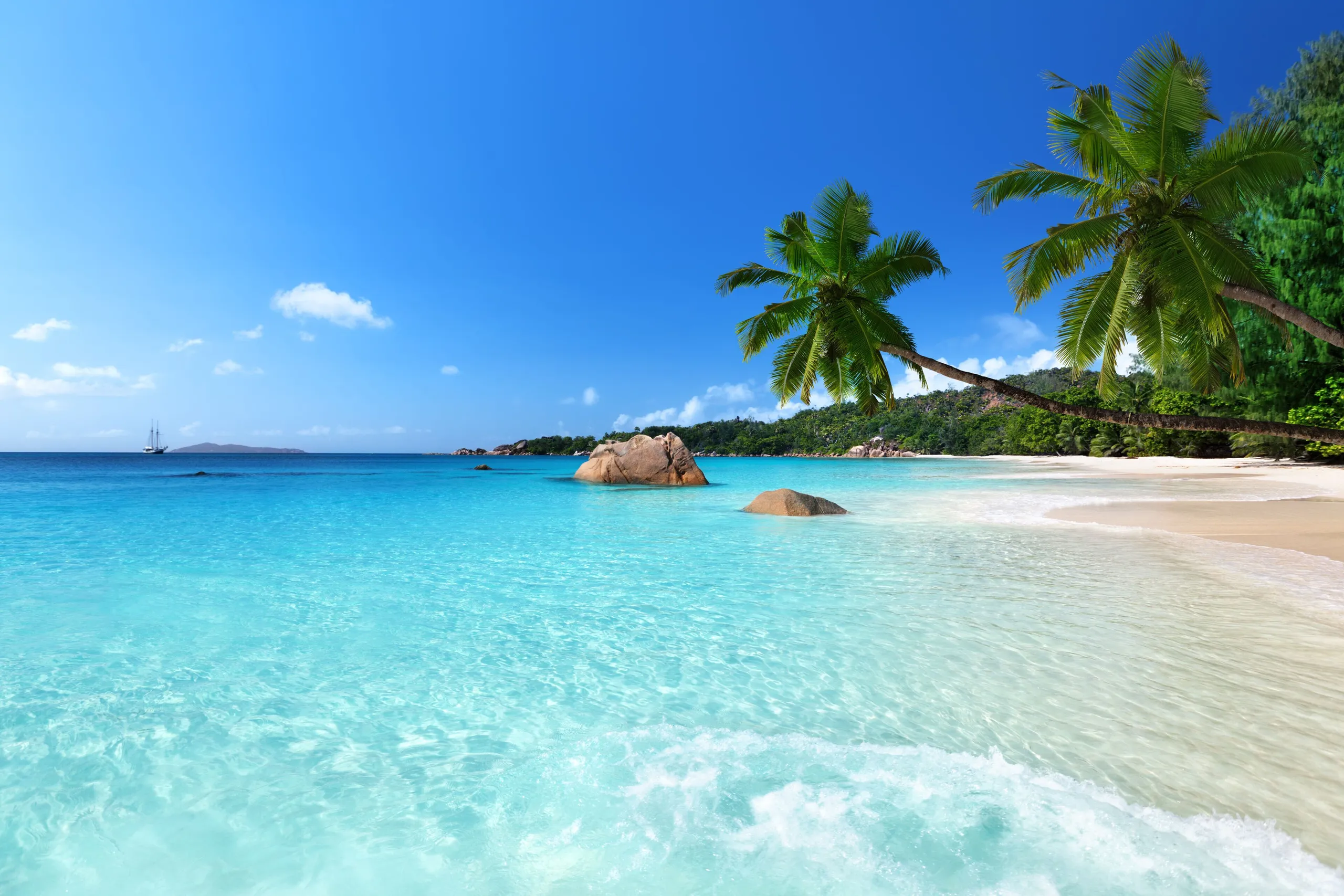 White sand beach with palm trees and turquoise water in the Seychelles