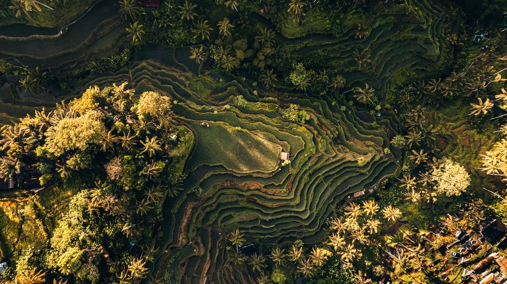 Bali: Where the Island Breathes Magic