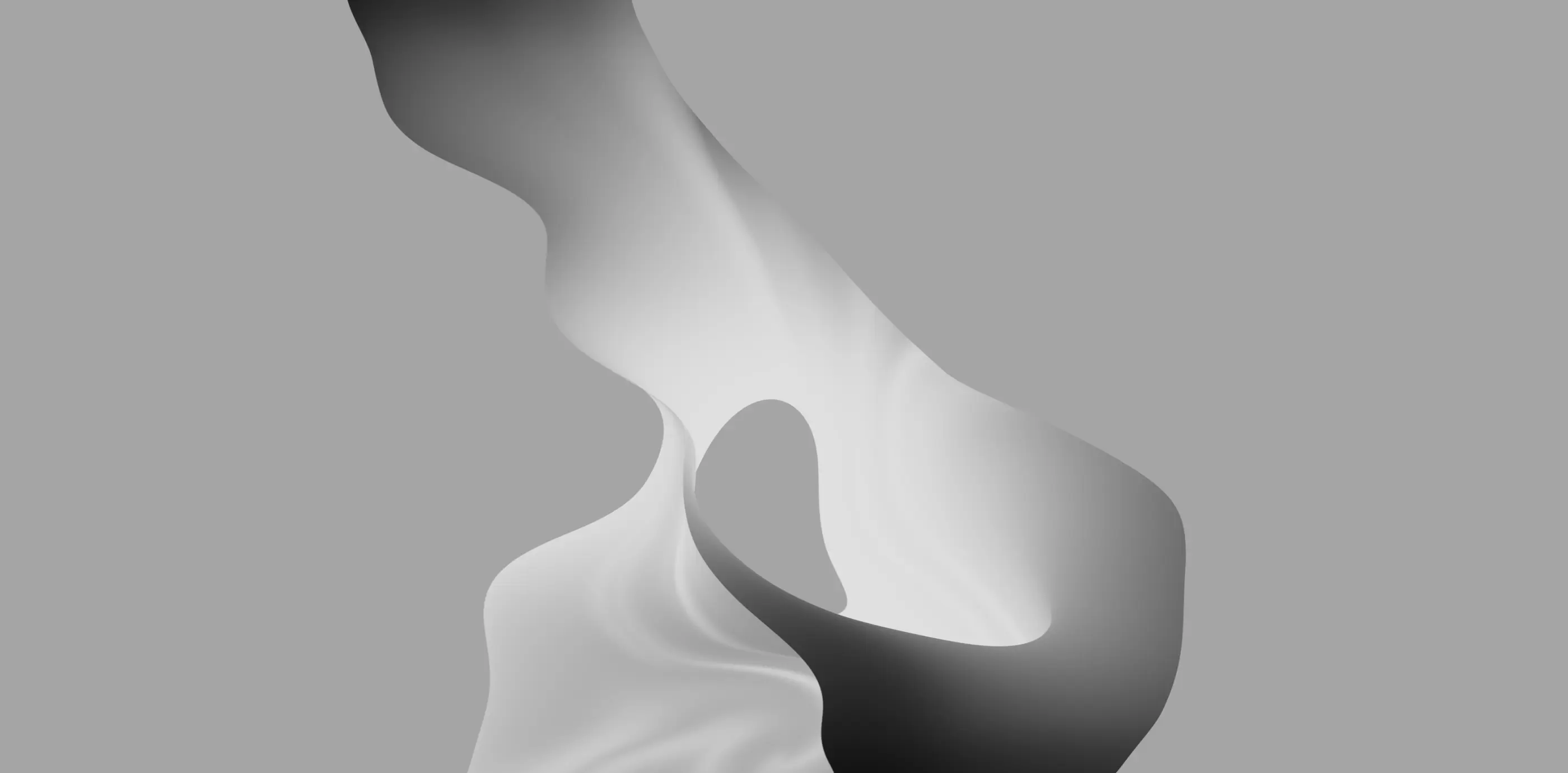 Abstract fluid form study in greyscale