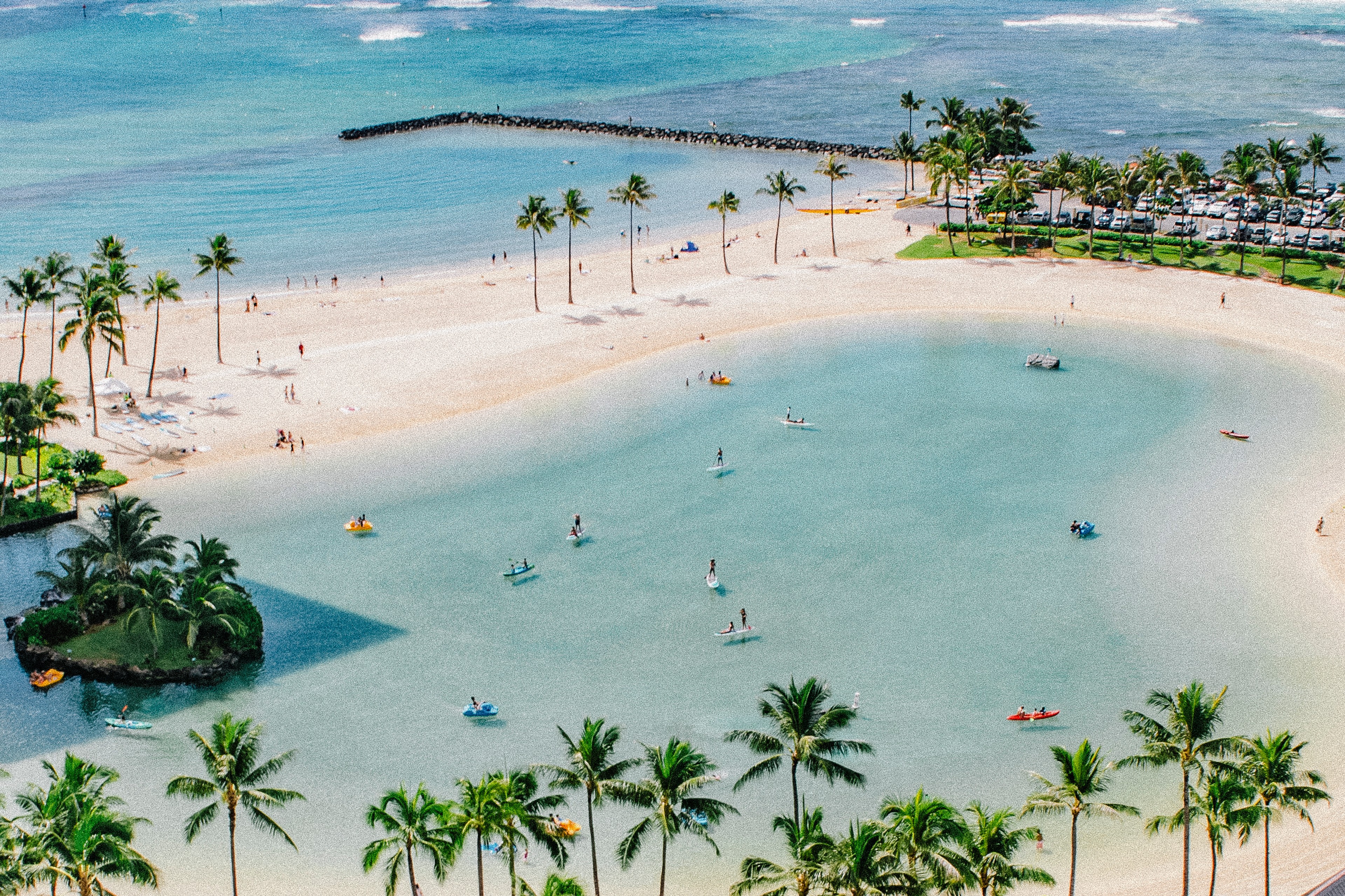 beach with palm trees