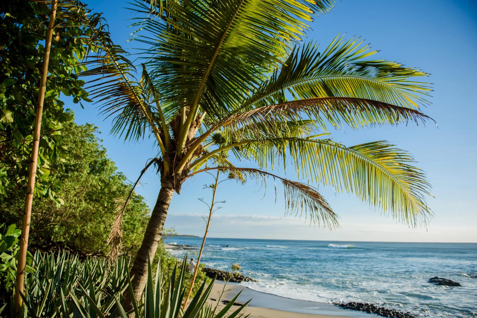 Guanacaste