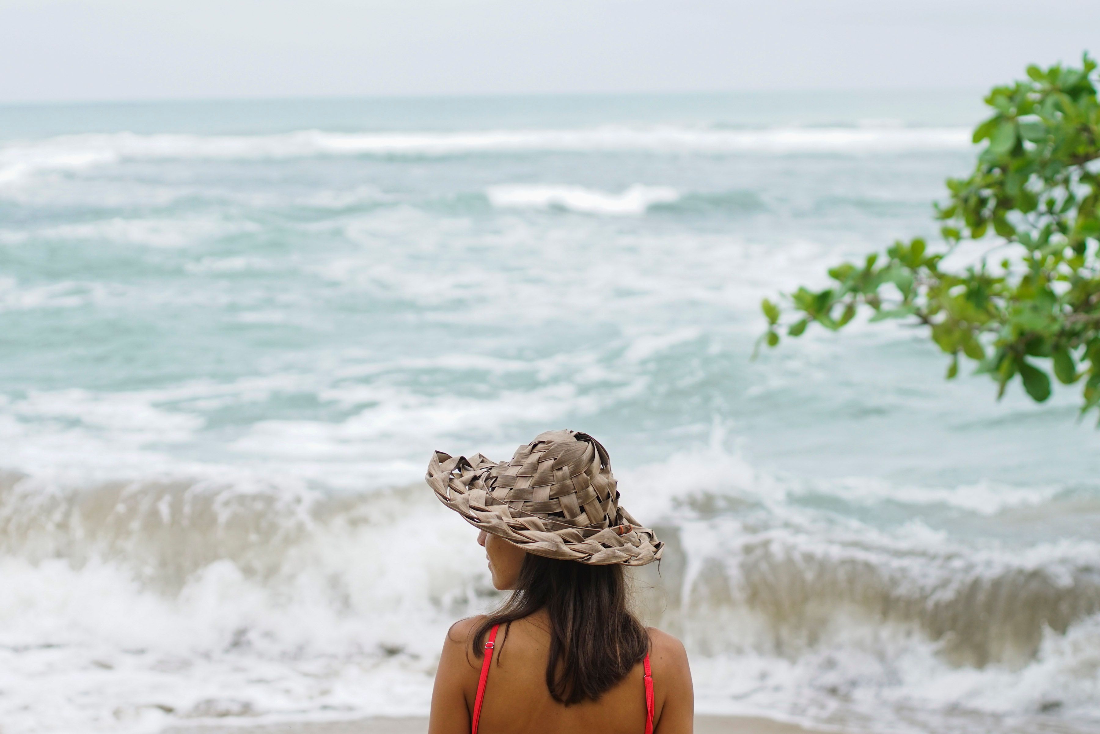 Limón's tropical Caribbean landscape