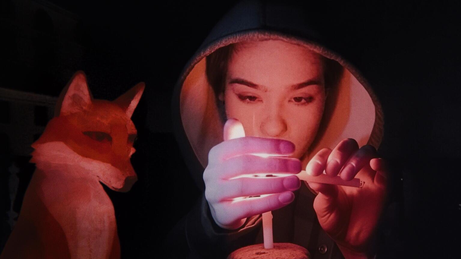 A Fox Under a Pink Moon фильмінен кадр