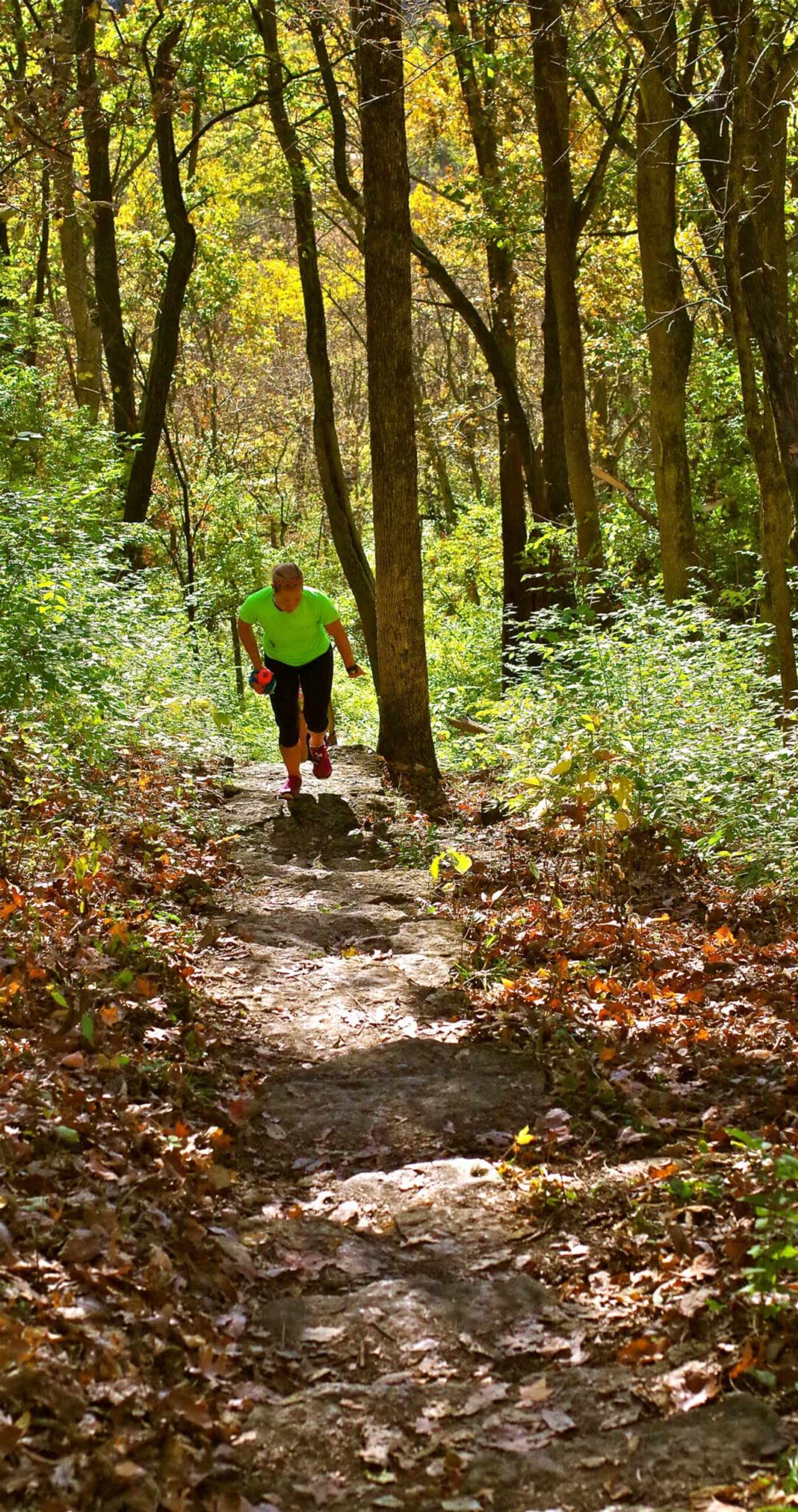 A runner climbing the stone steps through Mt. Airy Forest, the staircase cut into the hillside below her and autumn canopy overhead