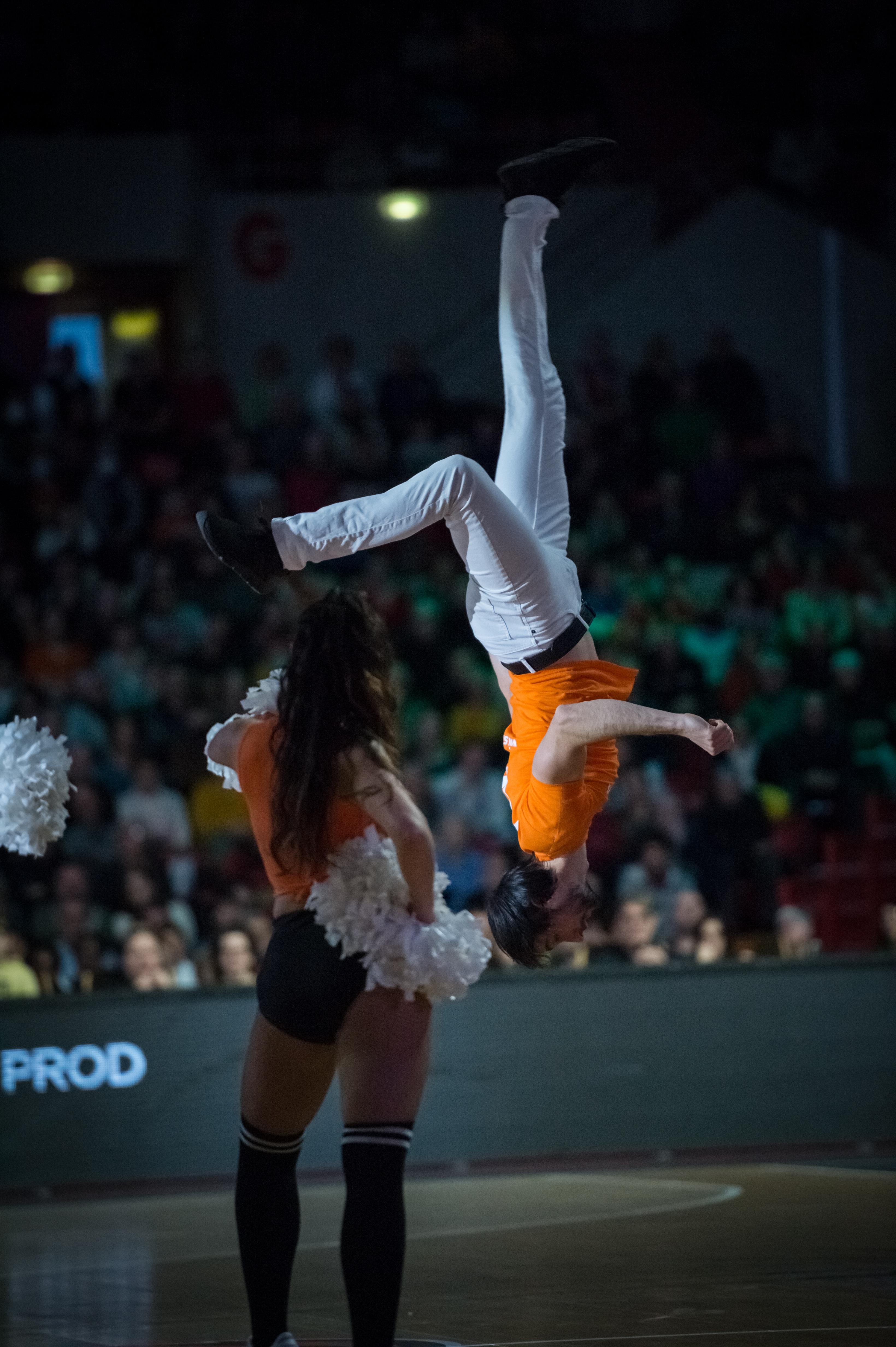 Animation Sportive