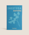 Sweet Pea Matcuna