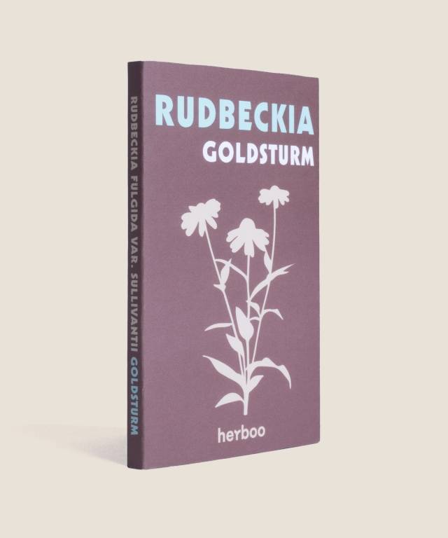 Rudbeckia Goldsturm Seeds