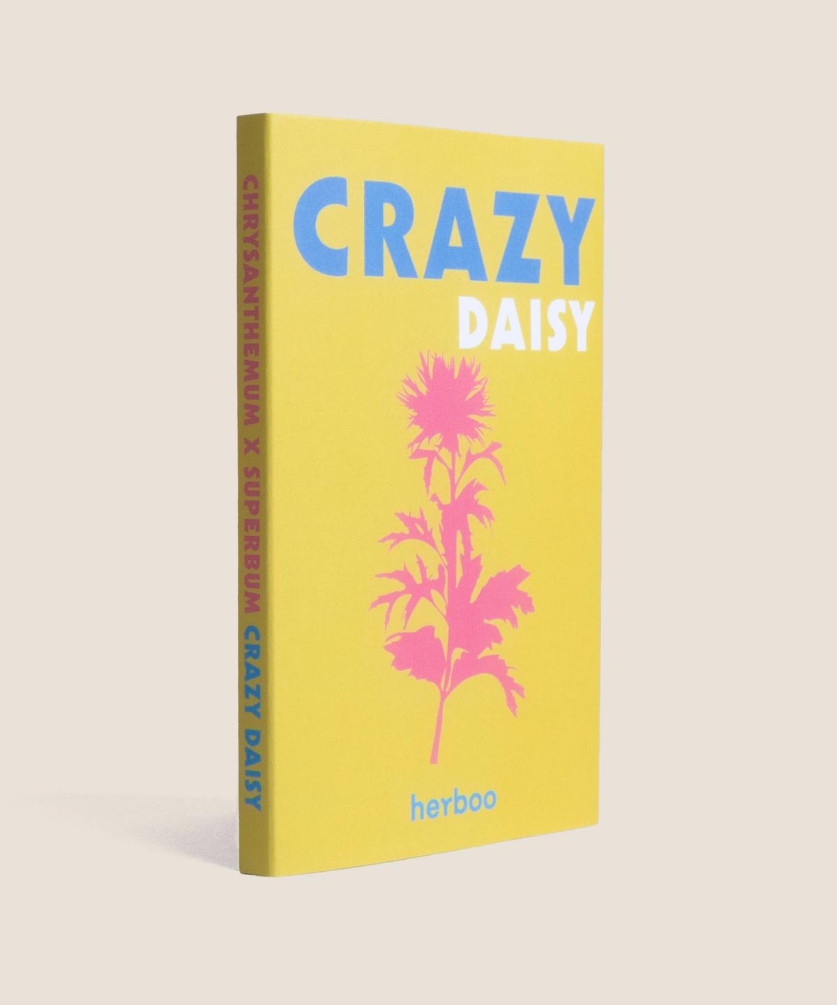 Leucanthemum 'Crazy Daisy' Seeds