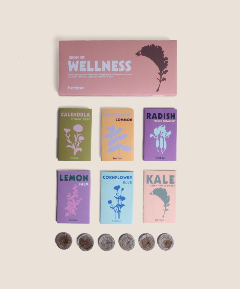 Flat-lay of the Wellness Grow Box seed selection with calming herb and flower varieties.