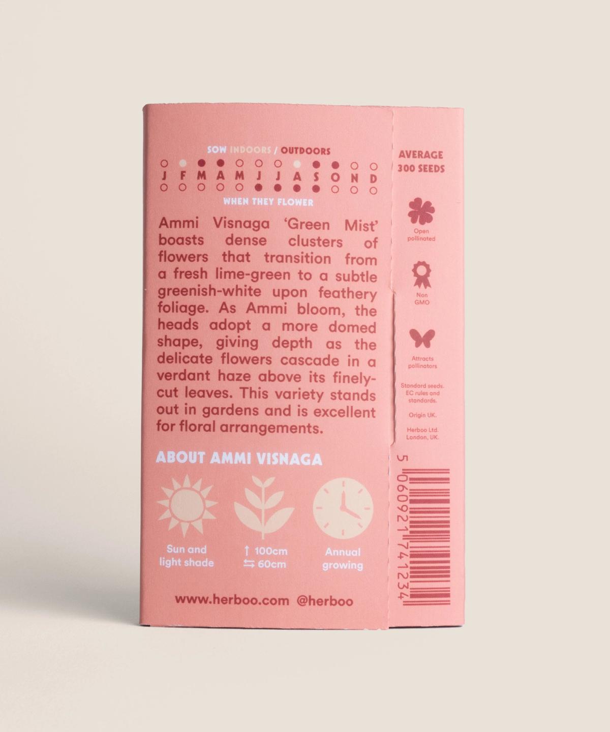 Ammi Visnaga Green Mist