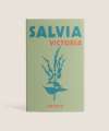 Salvia Victoria Seeds