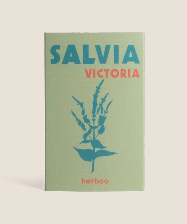 Salvia Victoria Seeds