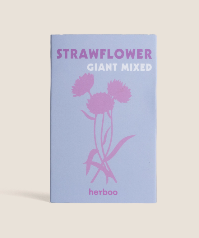 Strawflower Seeds